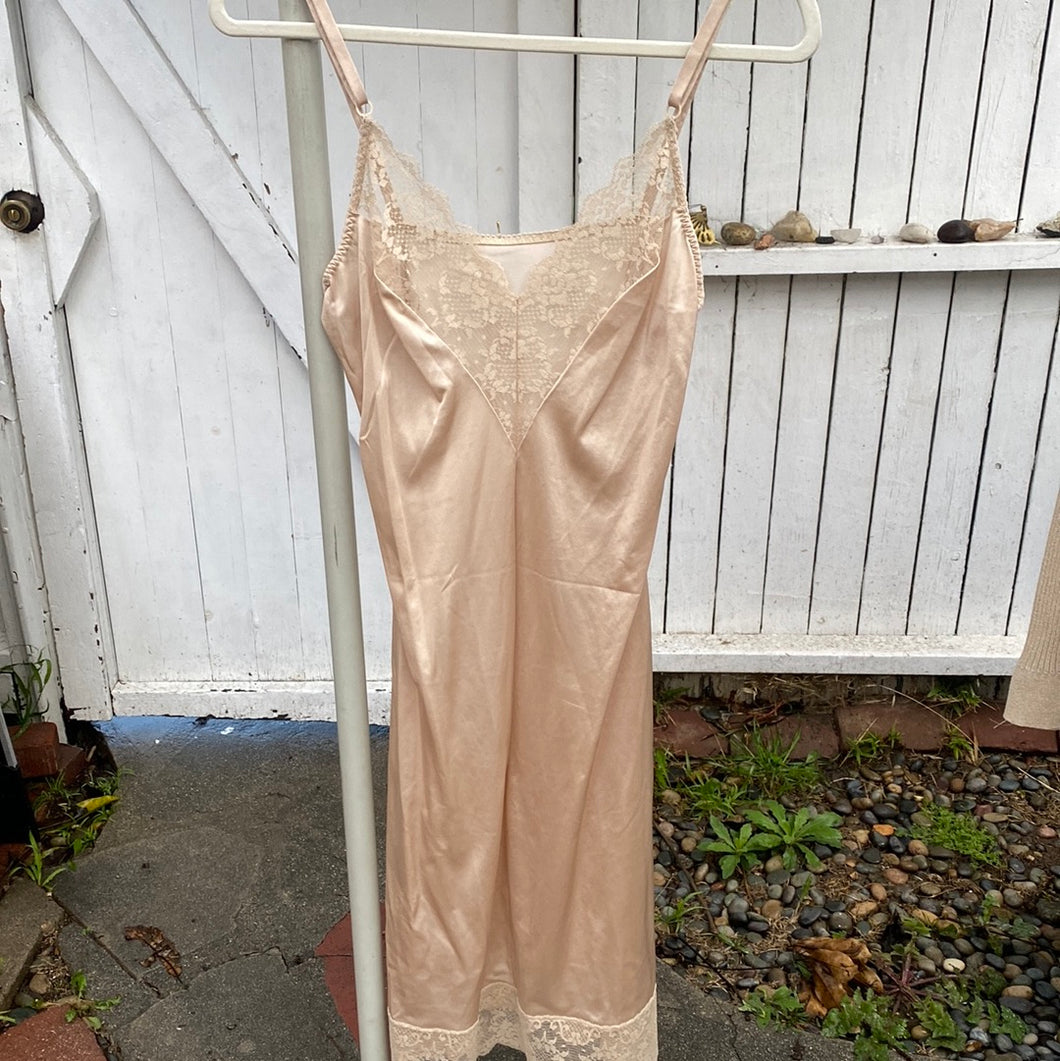 Tan Slip