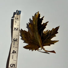 Load image into Gallery viewer, Large Vintage Gold Maple Leaf Brooch | 4” Statement Pin
